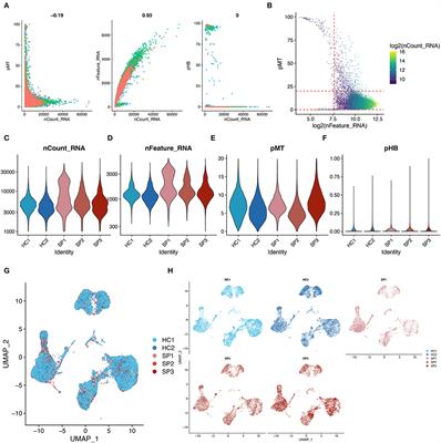MicroRNAs Promote the Progression of Sepsis-Induced Cardiomyopathy and Neurovascular Dysfunction Through Upregulation of NF-kappaB Signaling Pathway-Associated HDAC7/ACTN4